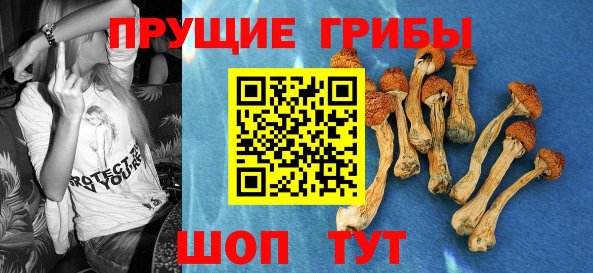 Псилоцибиновые грибы MAGIC MUSHROOMS  что такое наркотик  Урюпинск  Вход с VPN 