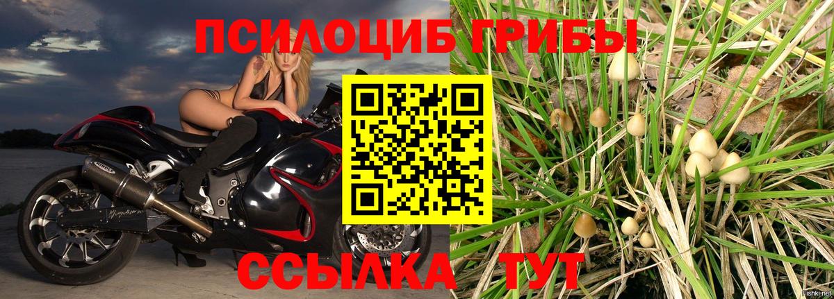 Псилоцибиновые грибы GOLDEN TEACHER Урюпинск